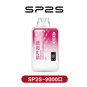 SP2S9000口一次性電子煙（可充電）